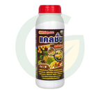 แคลชั่น