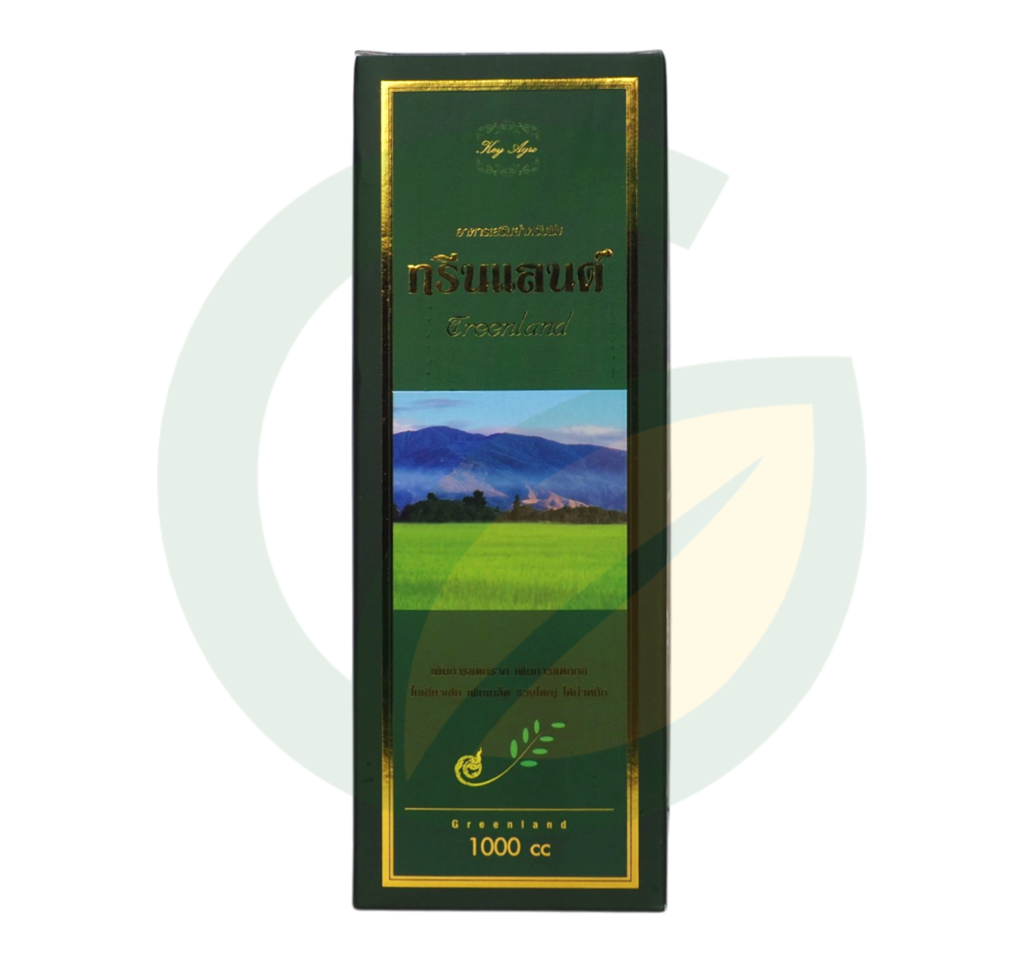 ทรีนแลนด์