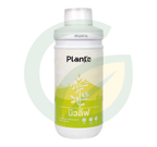 Plante นิวลีฟ