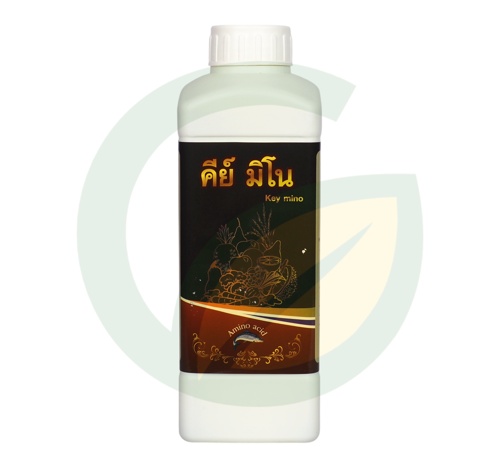 คีย์มิโน