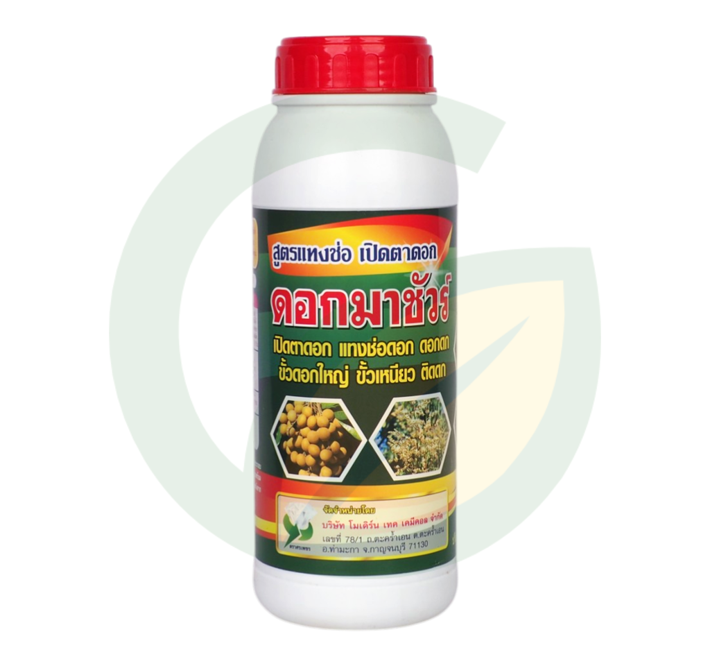 ดอกมาชัวร์