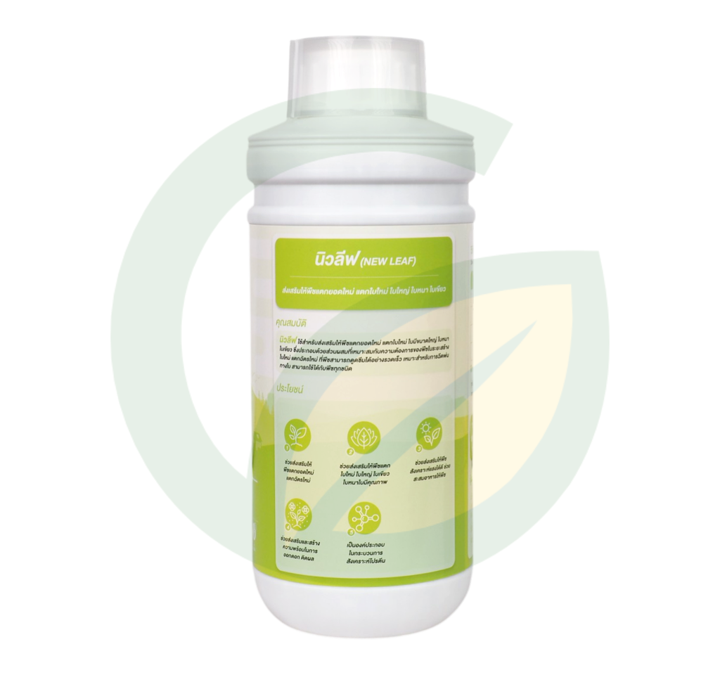 Plante นิวลีฟ