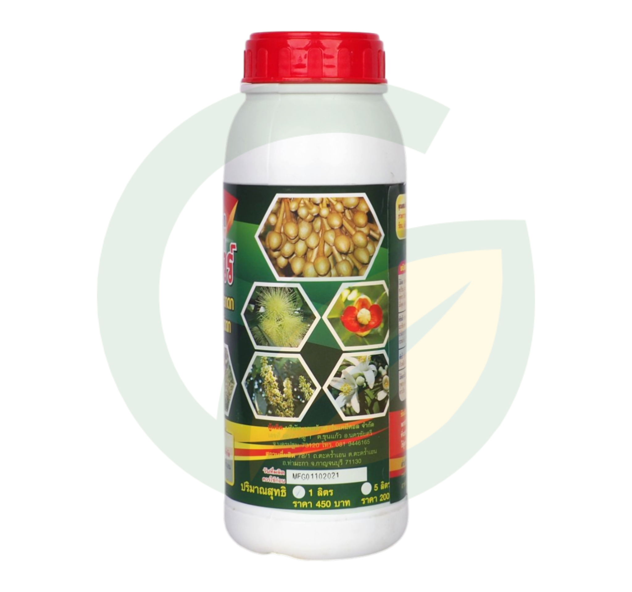 ดอกมาชัวร์