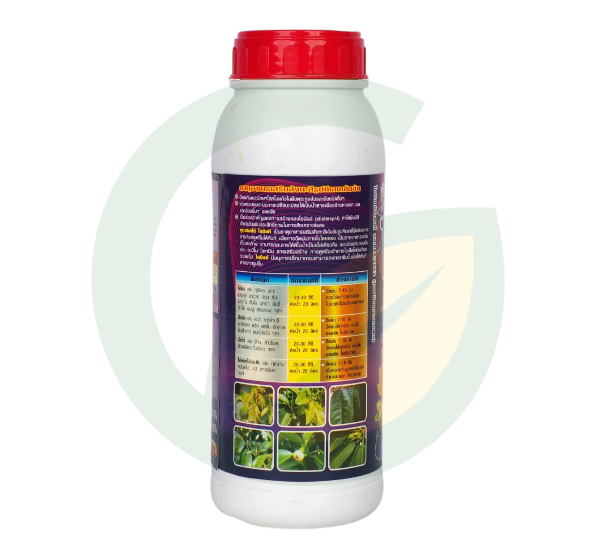 ไอซิ้งค์