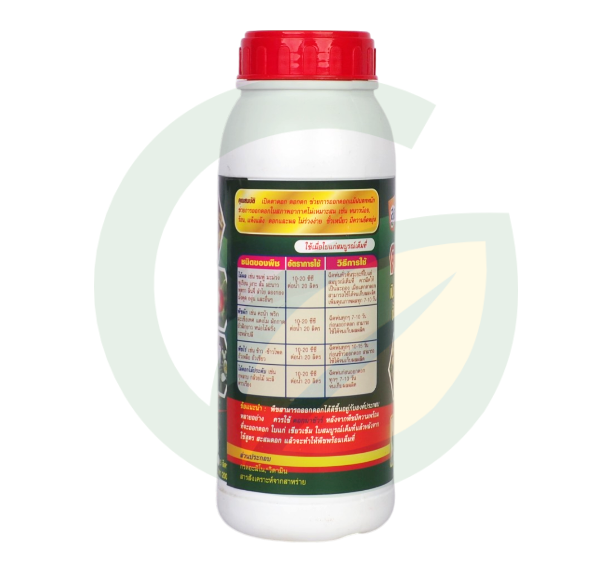 ดอกมาชัวร์