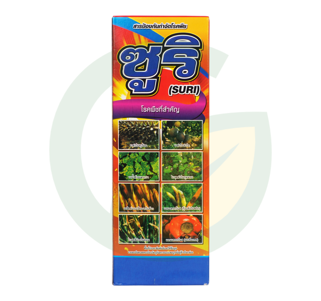 ซูริ คลอโรทาโลนิล 50% + อะซอกซีสโตรบิน 6% W/V SC
