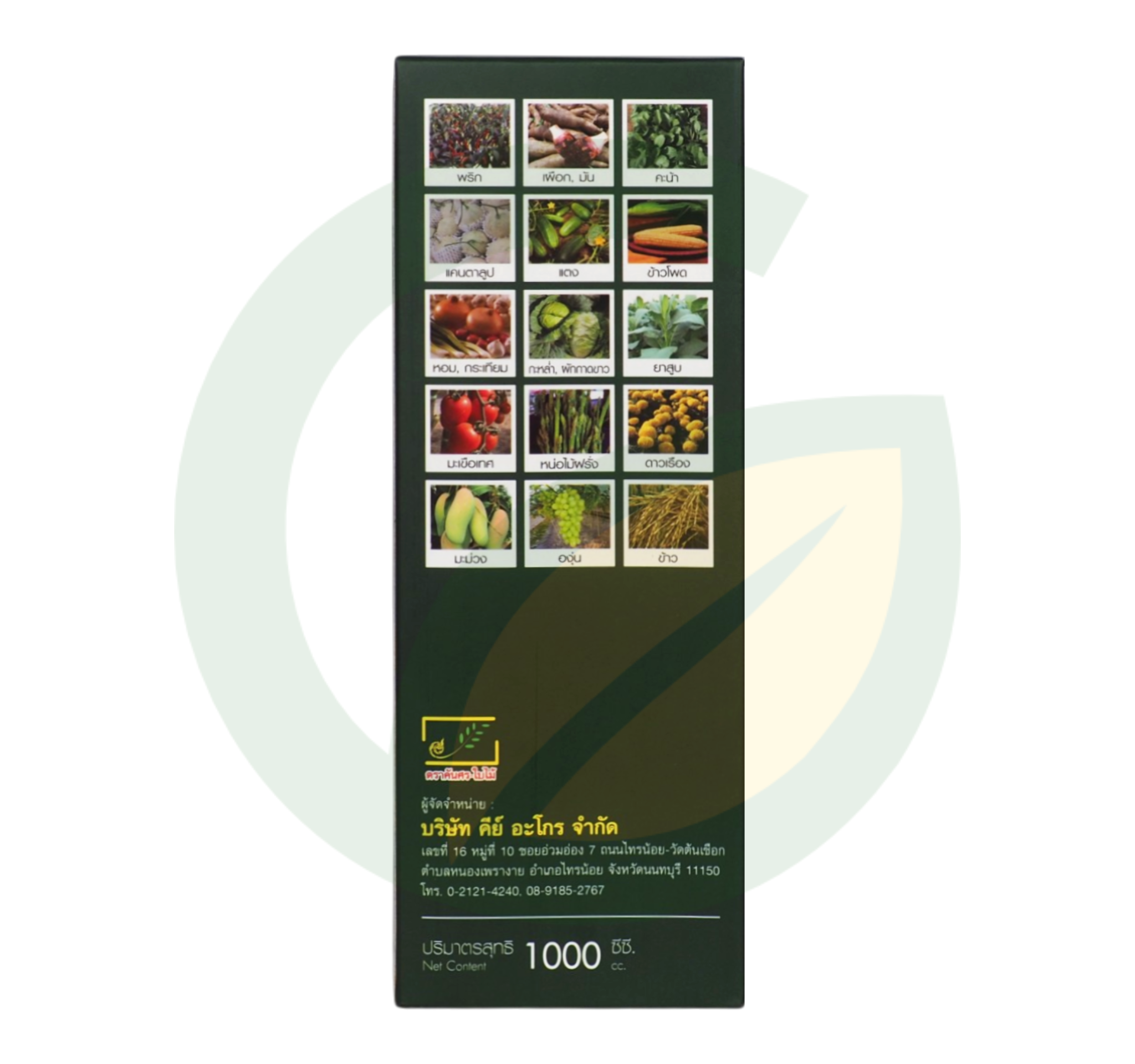 ทรีนแลนด์