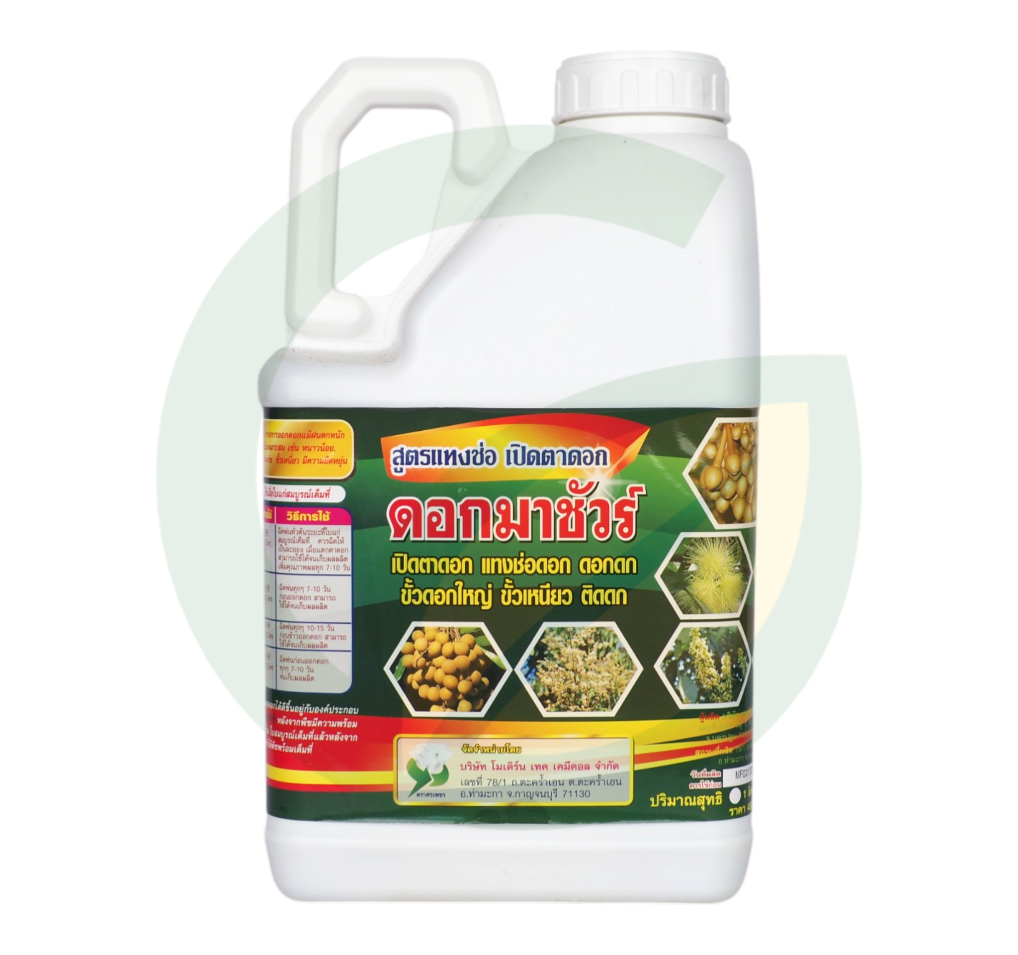 ดอกมาชัวร์