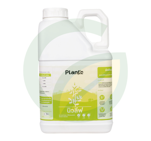 Plante นิวลีฟ