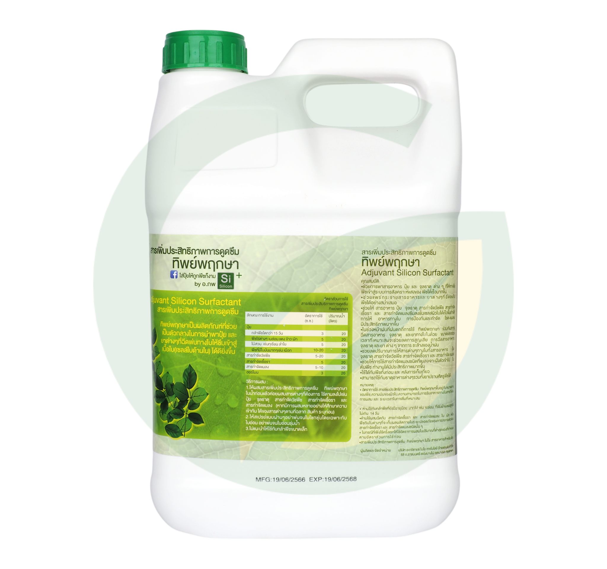 ทิพย์พฤกษา